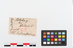 Etiketten zu Bronzering (NHMW-PRAE-024809)